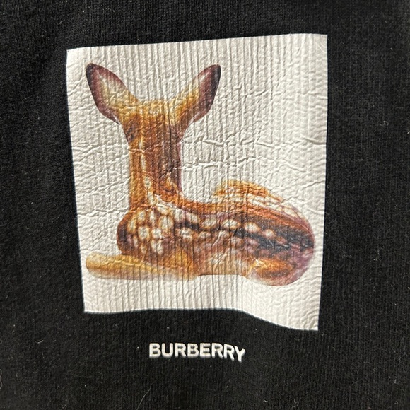 Burberry Size L Graphic Print Crew Neck Sweatshirt - Picture 7 of 13
